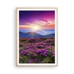 Poszter világos tölgy keretben - A gyógynövények friss fürtjei illatoztak a mezőkről - 70x100 cm