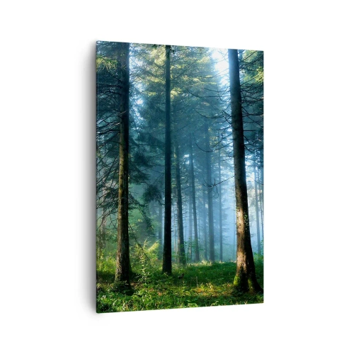 Vászonkép - Sugárzó reggel - 70x100 cm