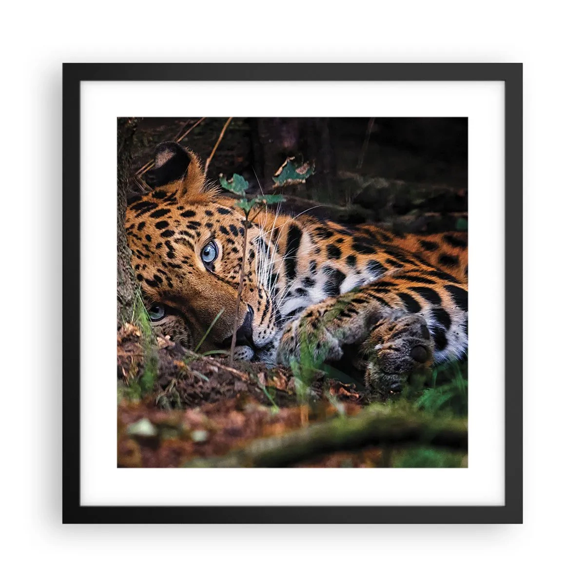 Poszter fehér keretben - Bízz bennem - 40x40 cm