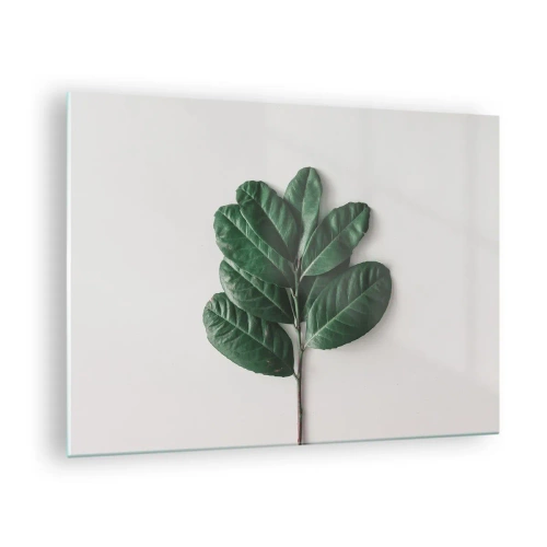 Üveg kép - Egy ág zöld levelekkel világos háttér előtt - 70x50cm - Rajz csak a természetről - Modern fali dekoráció nappalihoz és hálószobához ARTTOR