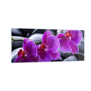 Üveg kép - A kövek kivilágosodtak az örömtől - 100x40 cm