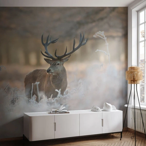 Fotótapéta Premium Sand - Friss reggel - Tájkép, Szarvas, Állatok - 350x256 cm