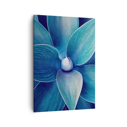 Vászonkép - Kékezve az égből - 50x70 cm