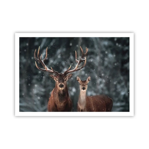 Poszter - Az erdő ura a feleségével - 100x70 cm