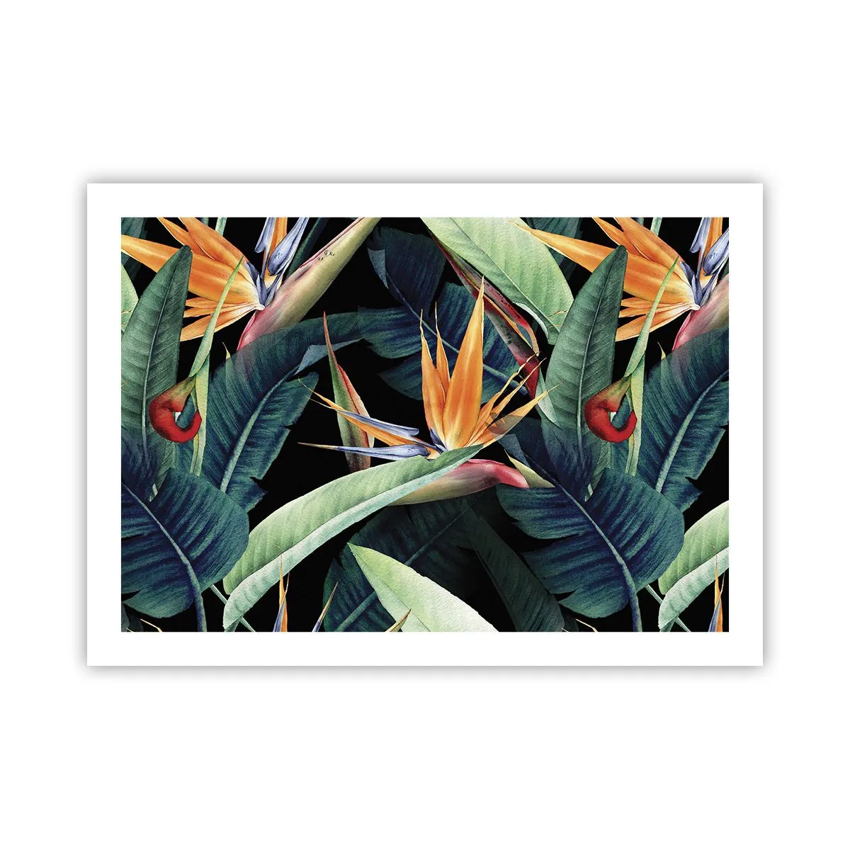 Poszter - A trópusok lángoló virágai - 70x50 cm