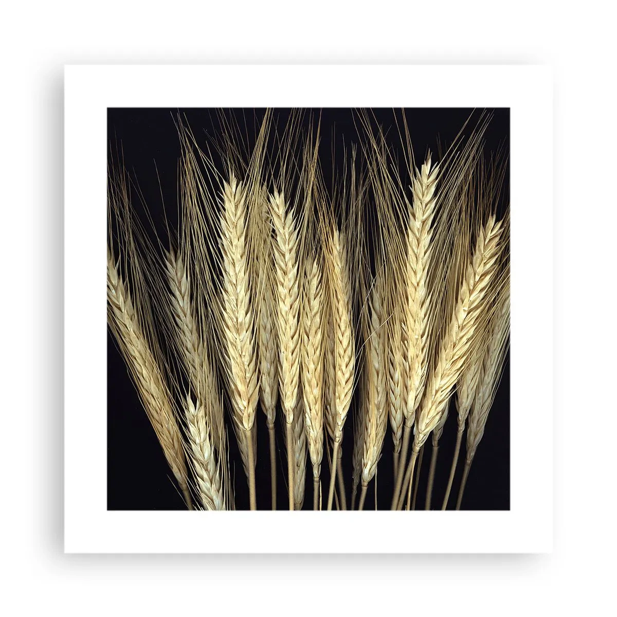 Poszter - Rusztikus varázslat - 40x40 cm