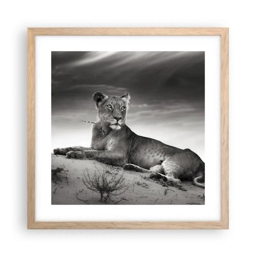 Poszter világos tölgy keretben - A sivatagi királynő pihenése - 40x40 cm