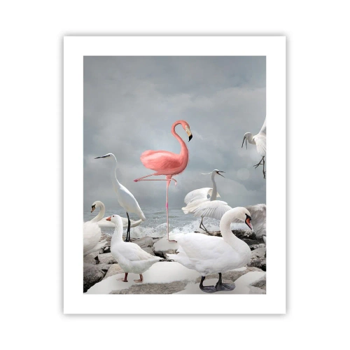 Poszter - Hogy kerültem ide? - 40x50 cm