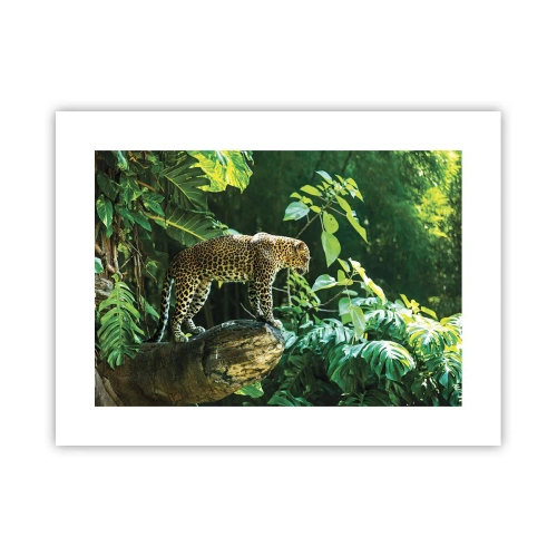 Poszter - A vadászatra? - 40x30 cm