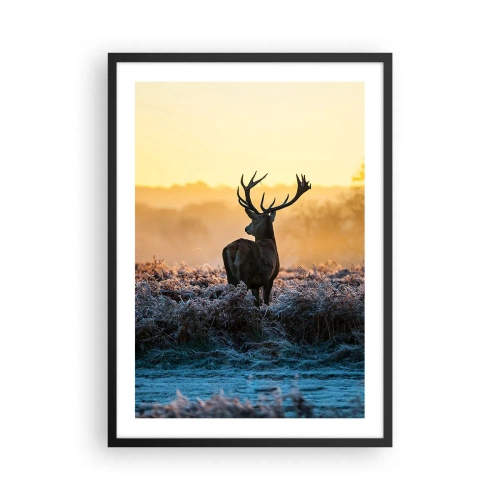 Poszter fehér keretben - Egy szarvas egy fagyos tisztáson napfelkeltekor - 50x70cm - Megkoronázott a birtokán - Modern fali dekoráció nappalihoz és hálószobához ARTTOR