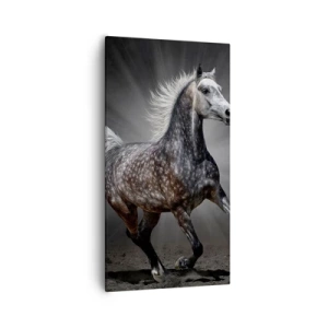 Vászonkép - A szürke gyönyörű - 55x100 cm