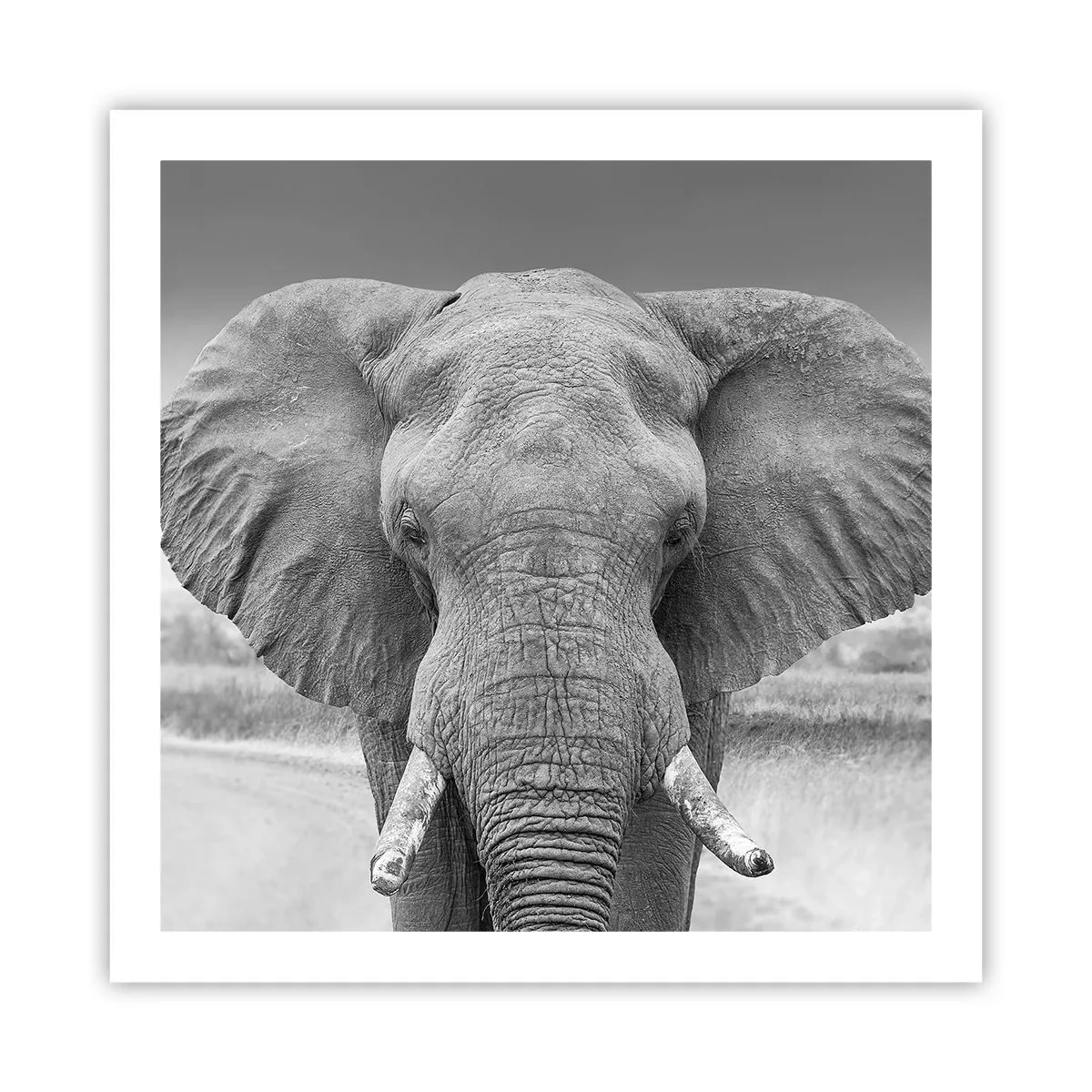 Poszter - Üdv a világomban - 60x60 cm