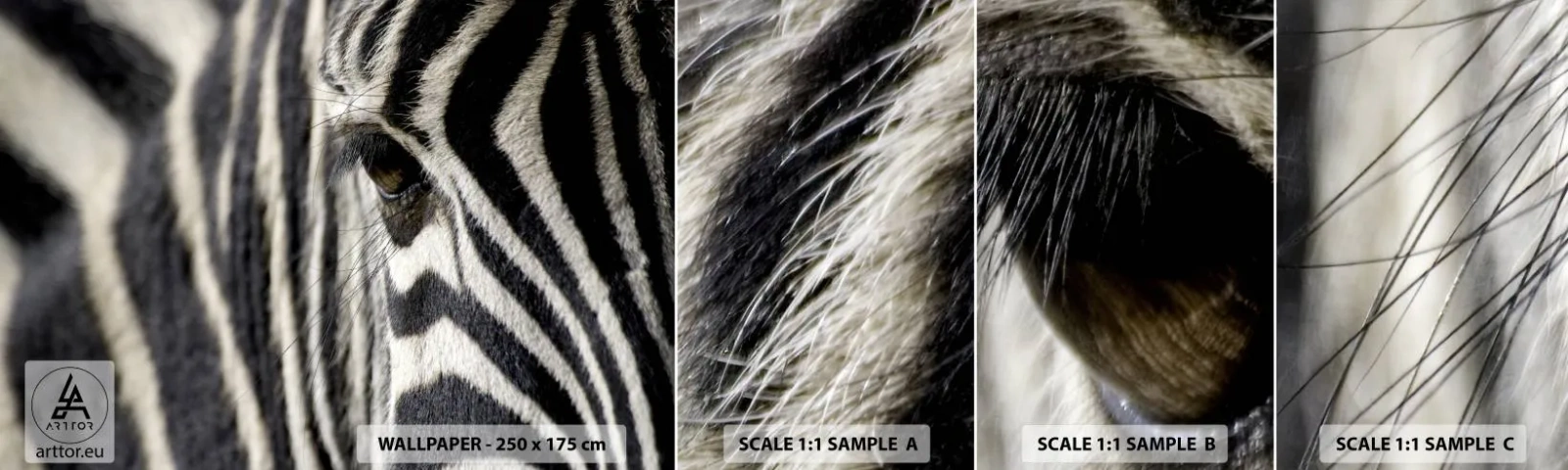 Fotótapéta Minta Standard Eco - Csíkos portré - Állatok, Borda, Afrika - 100x30 cm