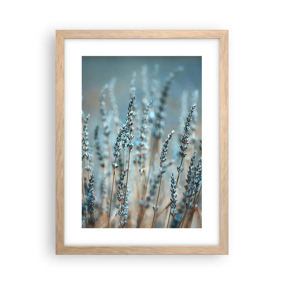 Poszter világos tölgy keretben - Illatos szálak - 30x40 cm