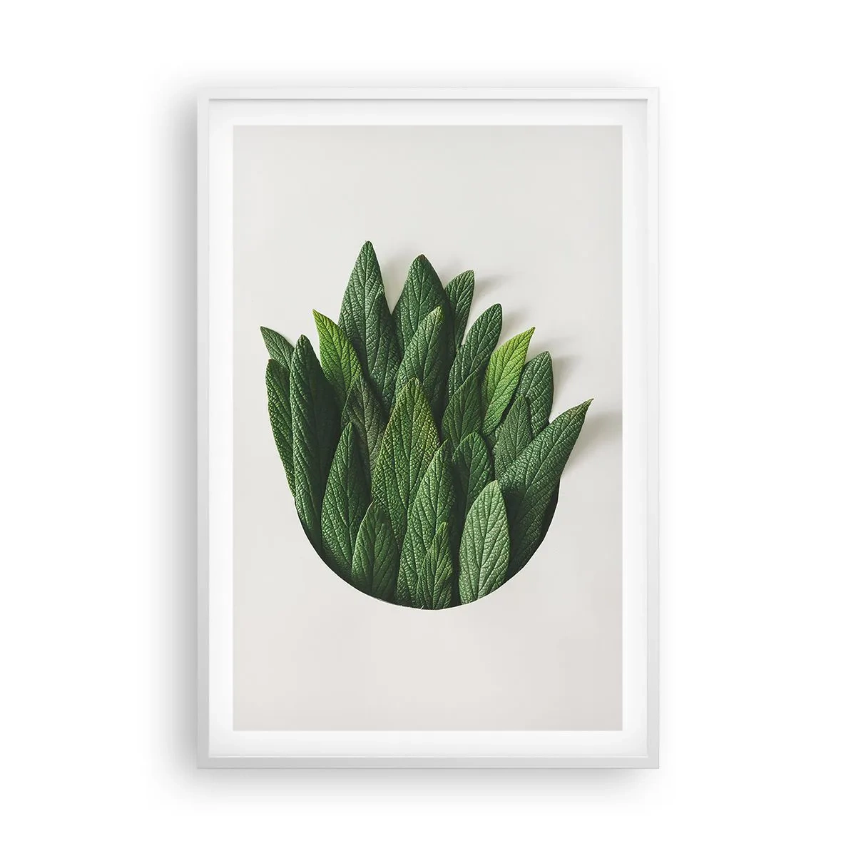 Poszter fekete keretben - Féktelen kíváncsiság - 61x91 cm