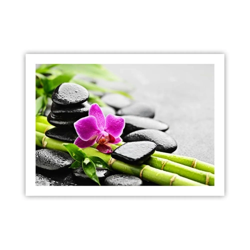 Poszter - Nyugodt egyensúlyban - 70x50 cm