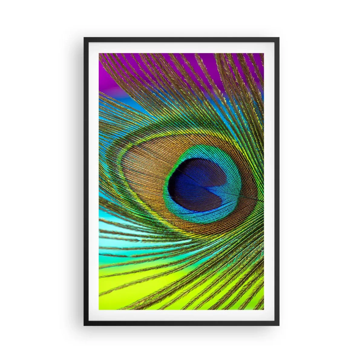 Poszter fehér keretben - Szemtől szemben - 61x91 cm