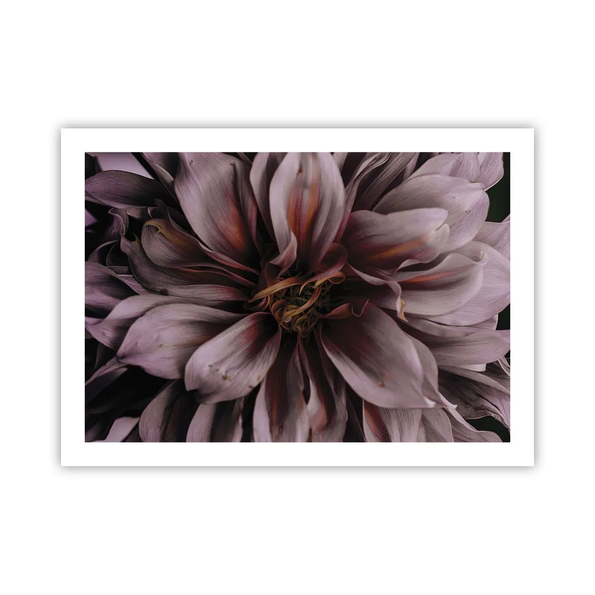 Poszter - Virágos szív - 70x50 cm