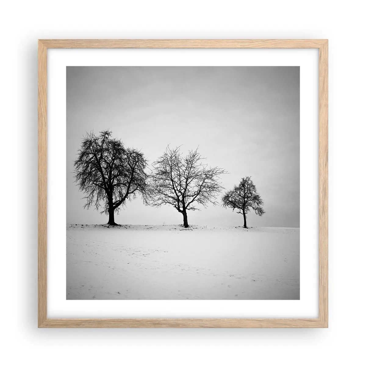 Poszter világos tölgy keretben - Miről álmodoznak? - 50x50 cm