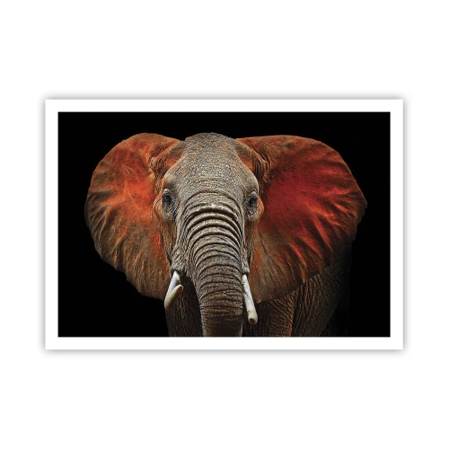 Poszter - Én vad vagyok, és te? - 100x70 cm