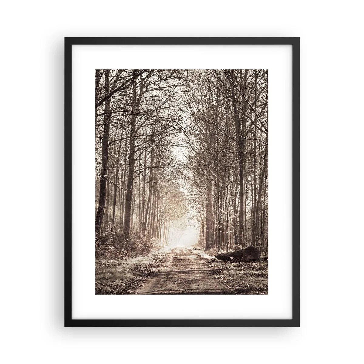 Poszter fehér keretben - Erdei katedrális - 40x50 cm