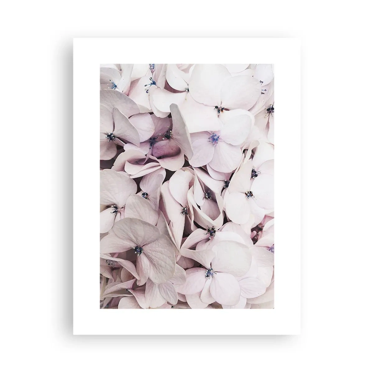 Poszter - A virágok áradatában - 30x40 cm