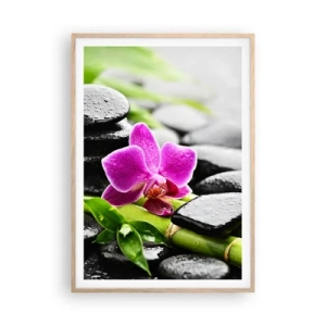 Poszter világos tölgy keretben - Nyugodt egyensúlyban - 70x100 cm