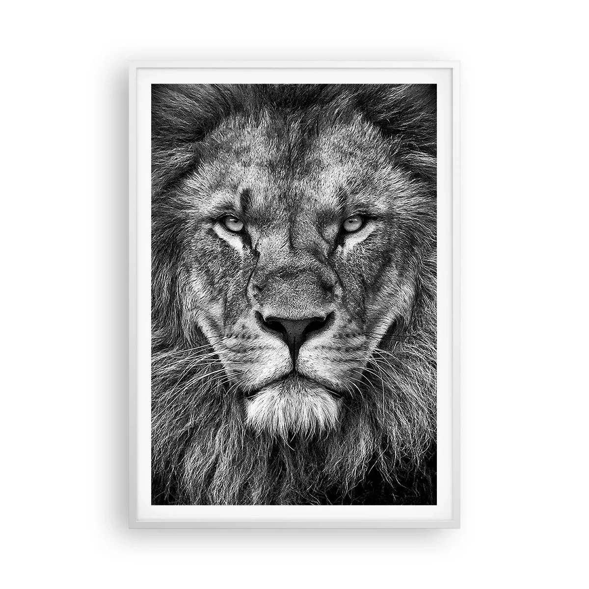 Poszter fekete keretben - Őfelségi palástban - 70x100 cm