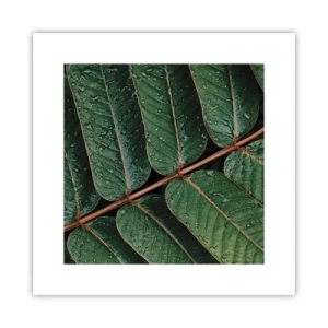 Poszter - Zöld ritmusban - 30x30 cm