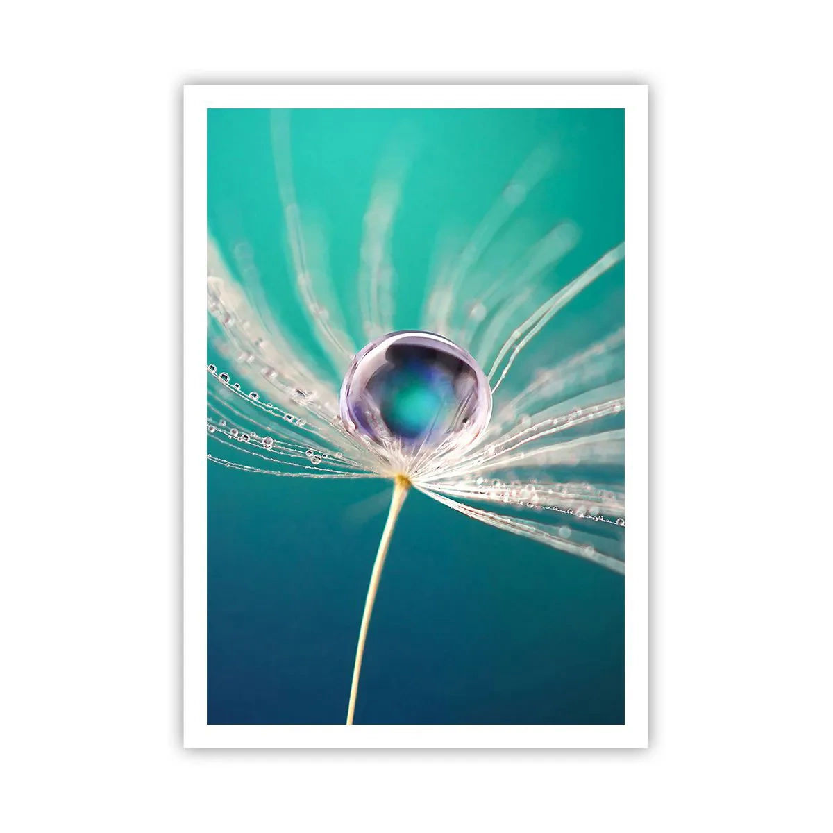 Poszter - Misztikus pillanat - 70x100 cm