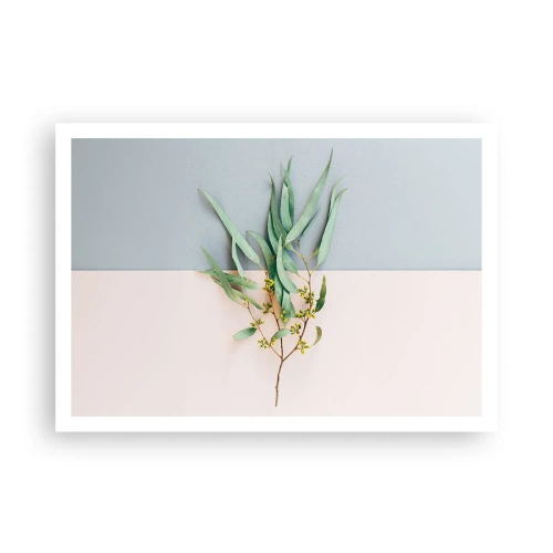 Poszter - Pasztell finomság - 100x70 cm