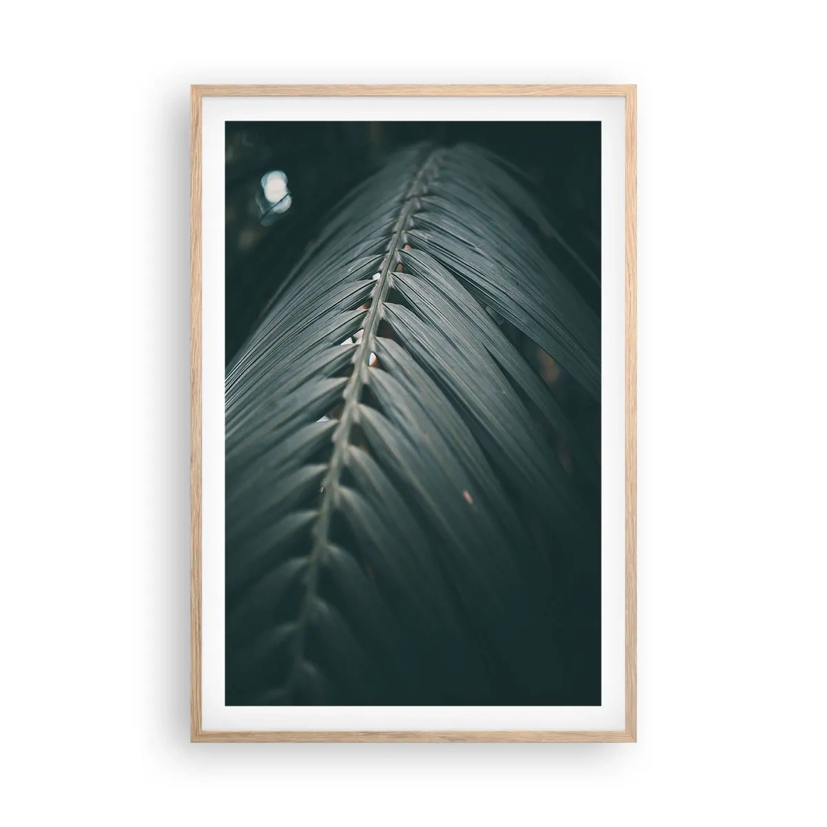 Poszter világos tölgy keretben - A természet pontossága - 61x91 cm