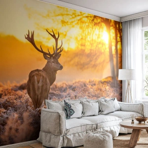 Fotótapéta Standard Eco - Egy szarvas a felkelő nap sugaraiban egy tisztáson - 100x70cm - Az őszi erdő királya - Modern fali dekoráció nappalihoz és hálószobához ARTTOR