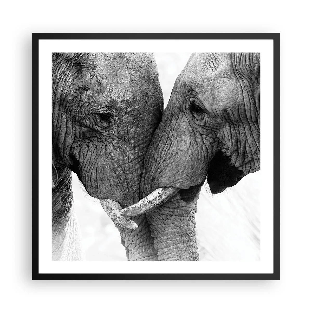 Poszter fehér keretben - Szívélyes vallomás - 60x60 cm