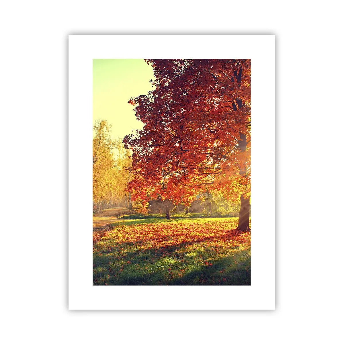 Poszter - A vörös gyönyörű - 30x40 cm