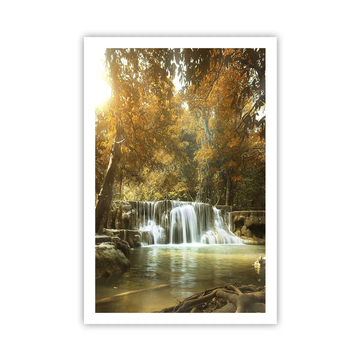 Poszter - Park kaszkád - 61x91 cm