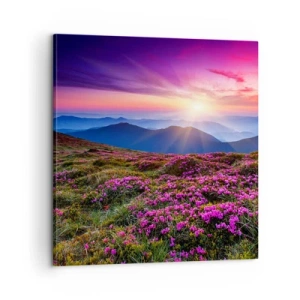 Vászonkép - A gyógynövények friss fürtjei illatoztak a mezőkről - 60x60 cm