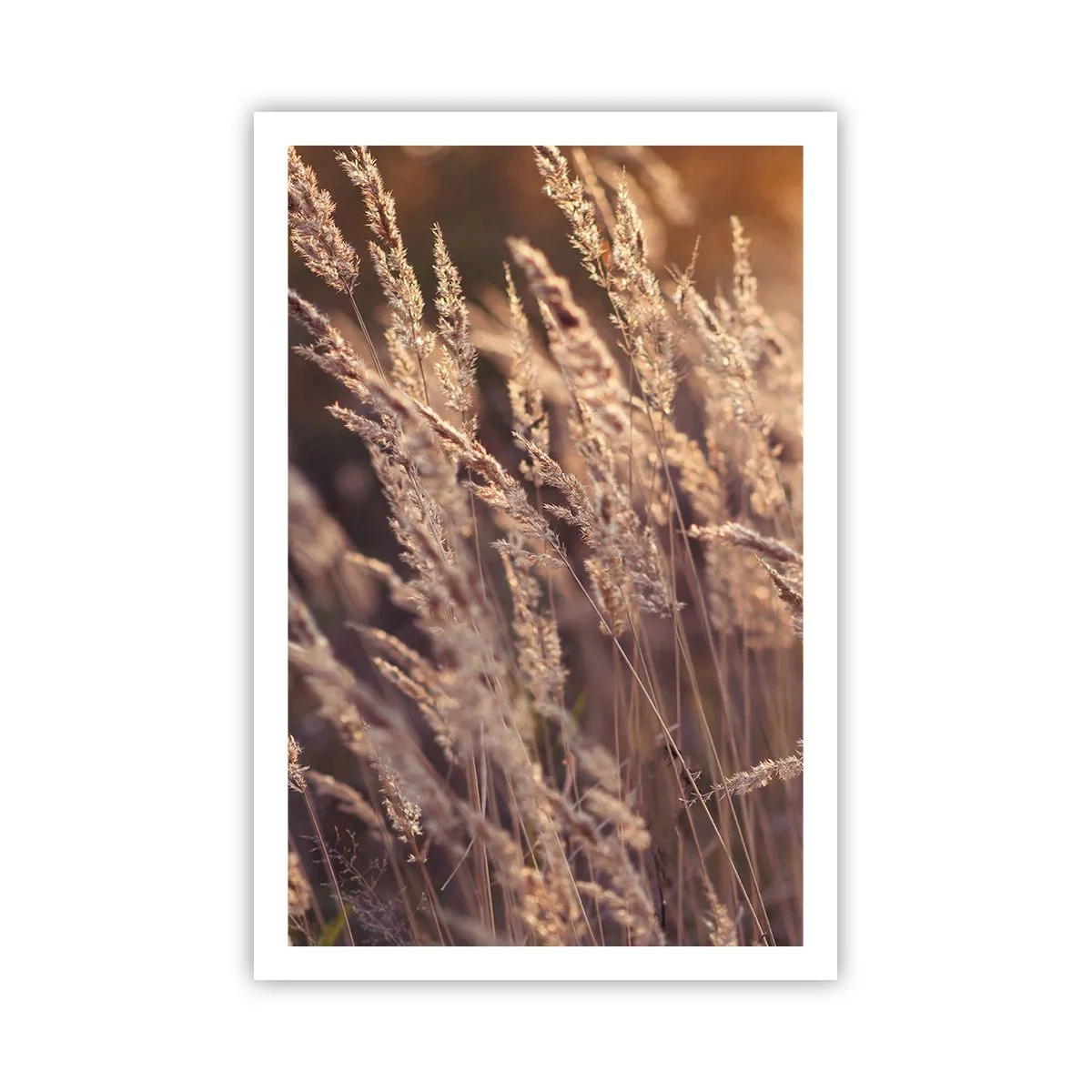 Poszter - Készen az ősz fogadására - 61x91 cm