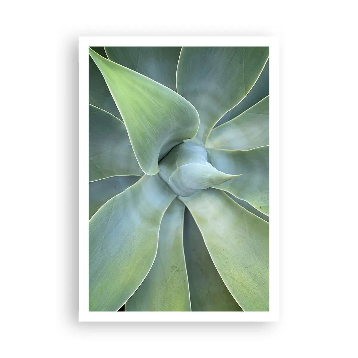 Poszter - A zöld születése - 70x100 cm