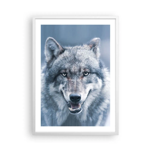 Poszter fekete keretben - Vállalod a kihívást? - 50x70 cm