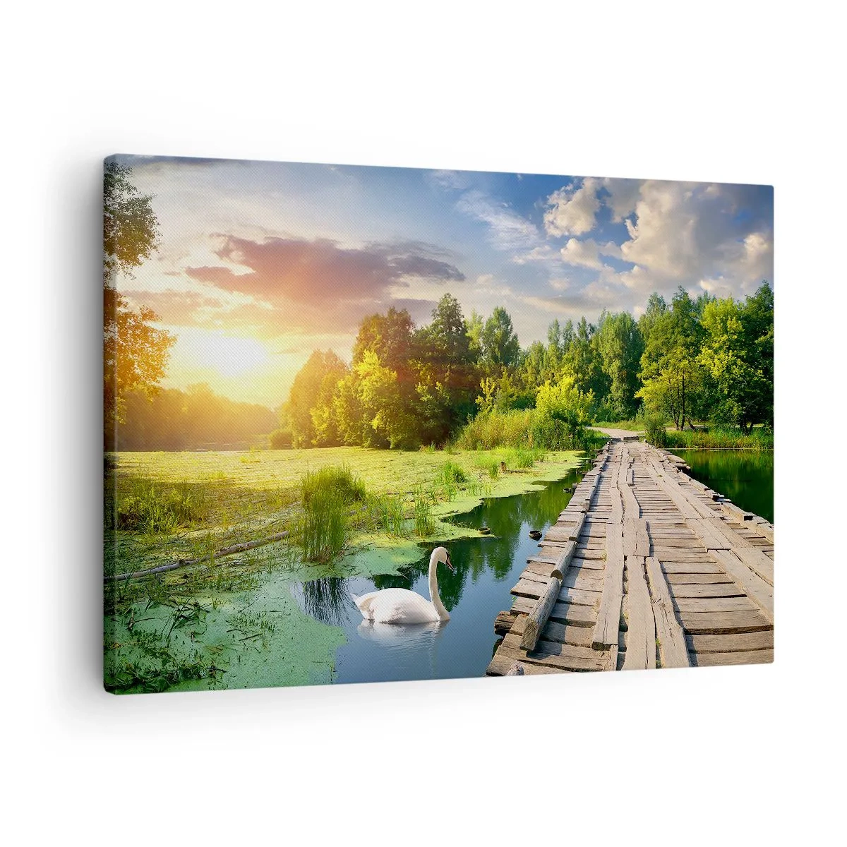 Vászonkép - Festői táj híddal és hattyúval - 70x50cm - Nyár, mindenhol nyár - Modern fali dekoráció nappalihoz és hálószobához ARTTOR