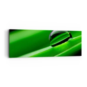 Vászonkép - Élet közelről - 90x30 cm