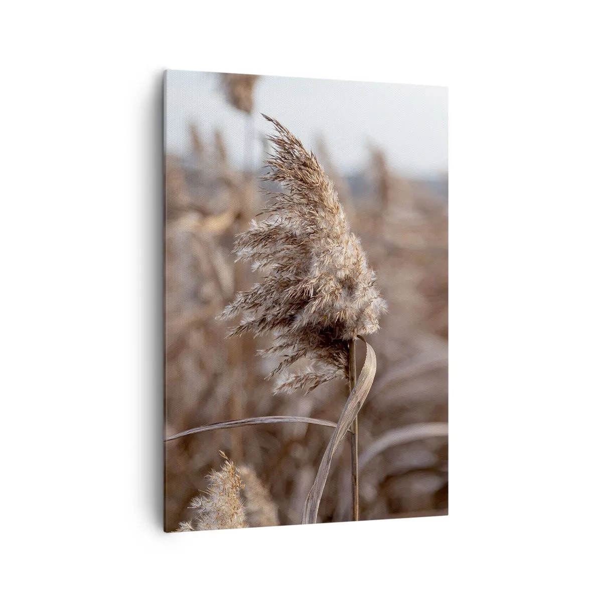 Vászonkép - Ideje elrepülni a széllel - 70x100 cm