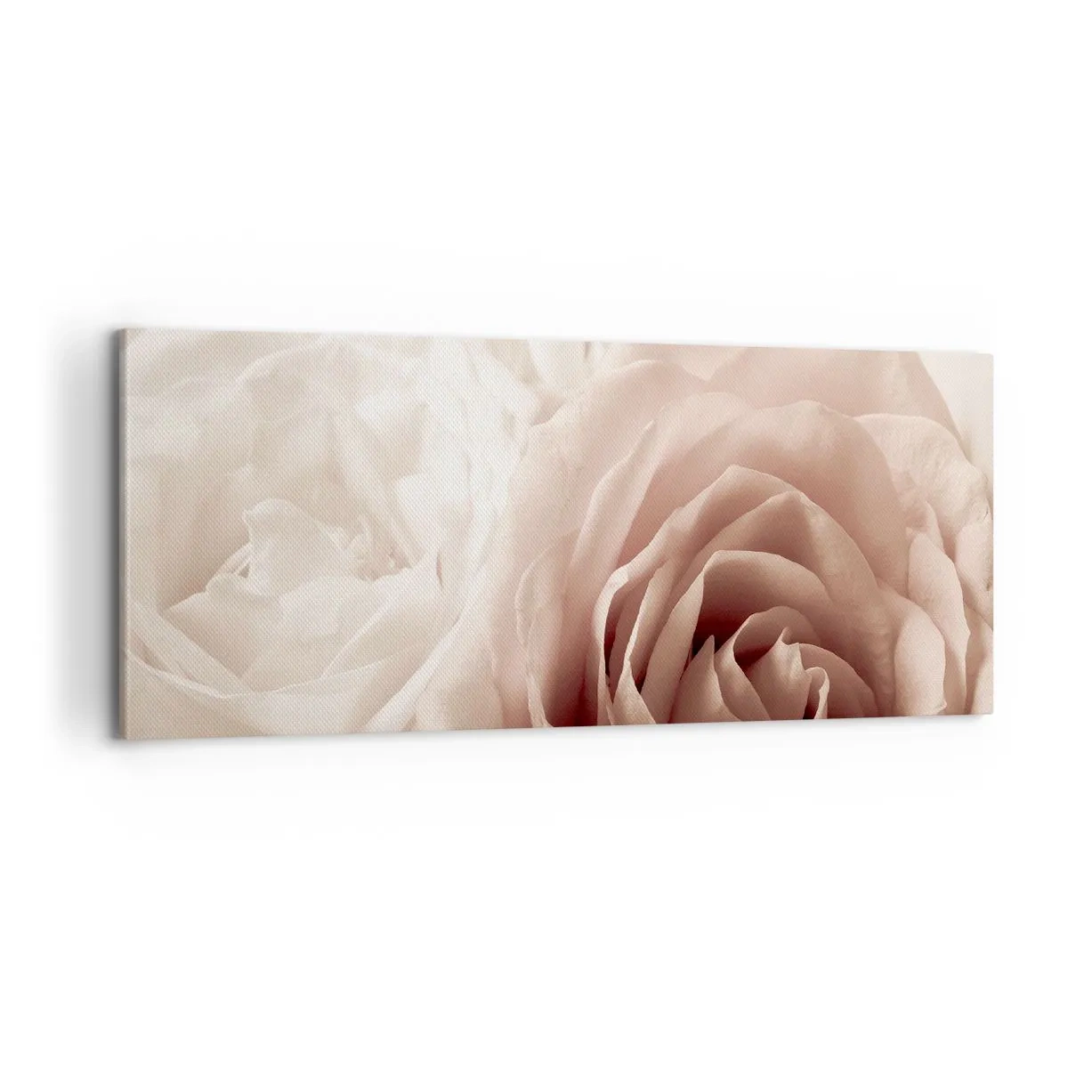 Vászonkép - Egy rózsa szívében - 100x40 cm