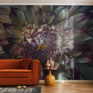Fotótapéta Standard Eco - A fiatalság kivirágzása - Virágok, Dália, Virágzó Virág - 350x256 cm