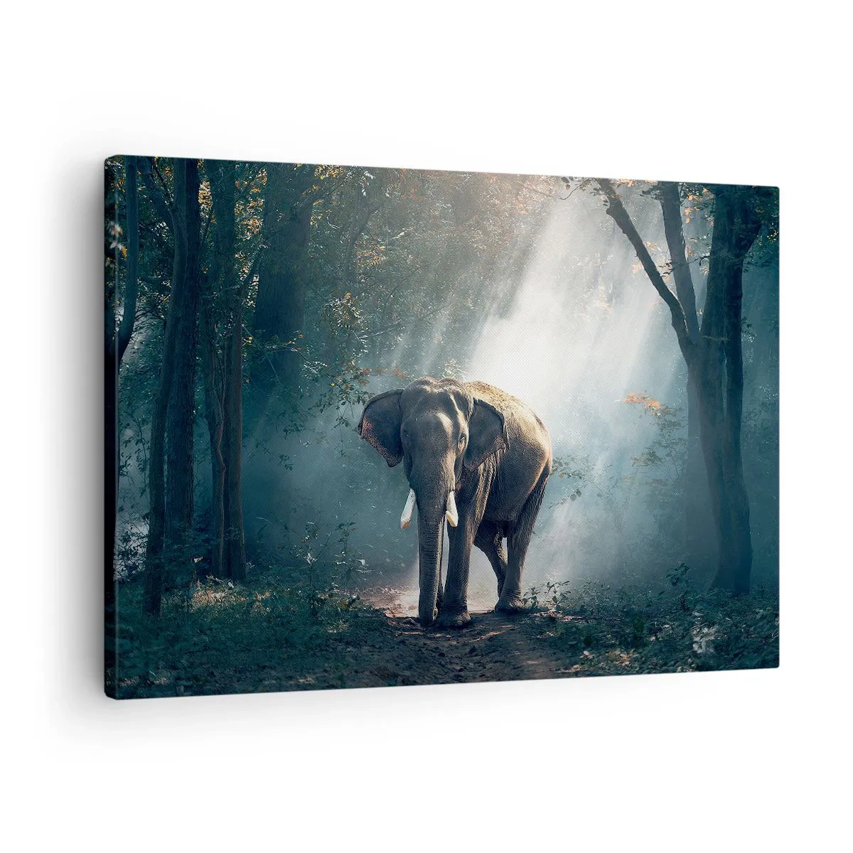 Vászonkép - Elefánt az erdő fényében - 70x50cm - Nyugodt séta - Modern fali dekoráció nappalihoz és hálószobához ARTTOR