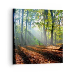 Vászonkép - Ragyogások és árnyékok - 70x70 cm