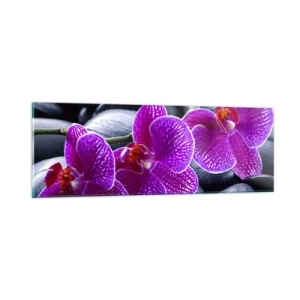 Üveg kép - A kövek kivilágosodtak az örömtől - 90x30 cm