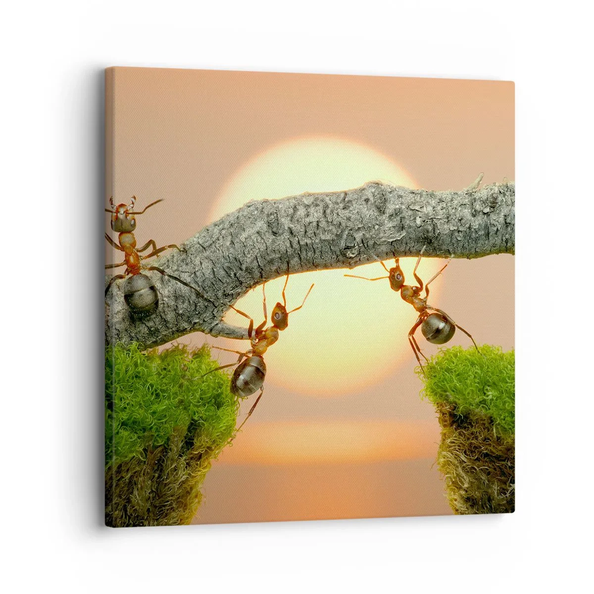 Vászonkép - Boldog, közös munka - 30x30 cm