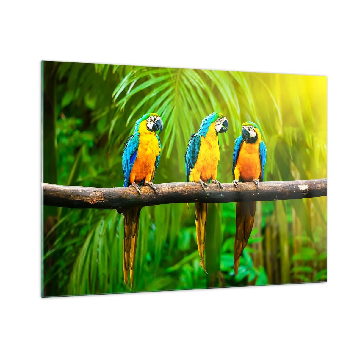 Üveg kép - És hallottad, hogy ő…? - 100x70 cm